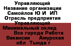 Управляющий › Название организации ­ Самойлов Ю.И, ИП › Отрасль предприятия ­ Управляющий › Минимальный оклад ­ 35 000 - Все города Работа » Вакансии   . Амурская обл.,Тында г.